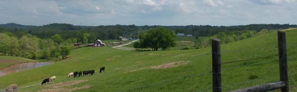 Fishers Ridge past Kenna. Fishers Ridge past Kenna.